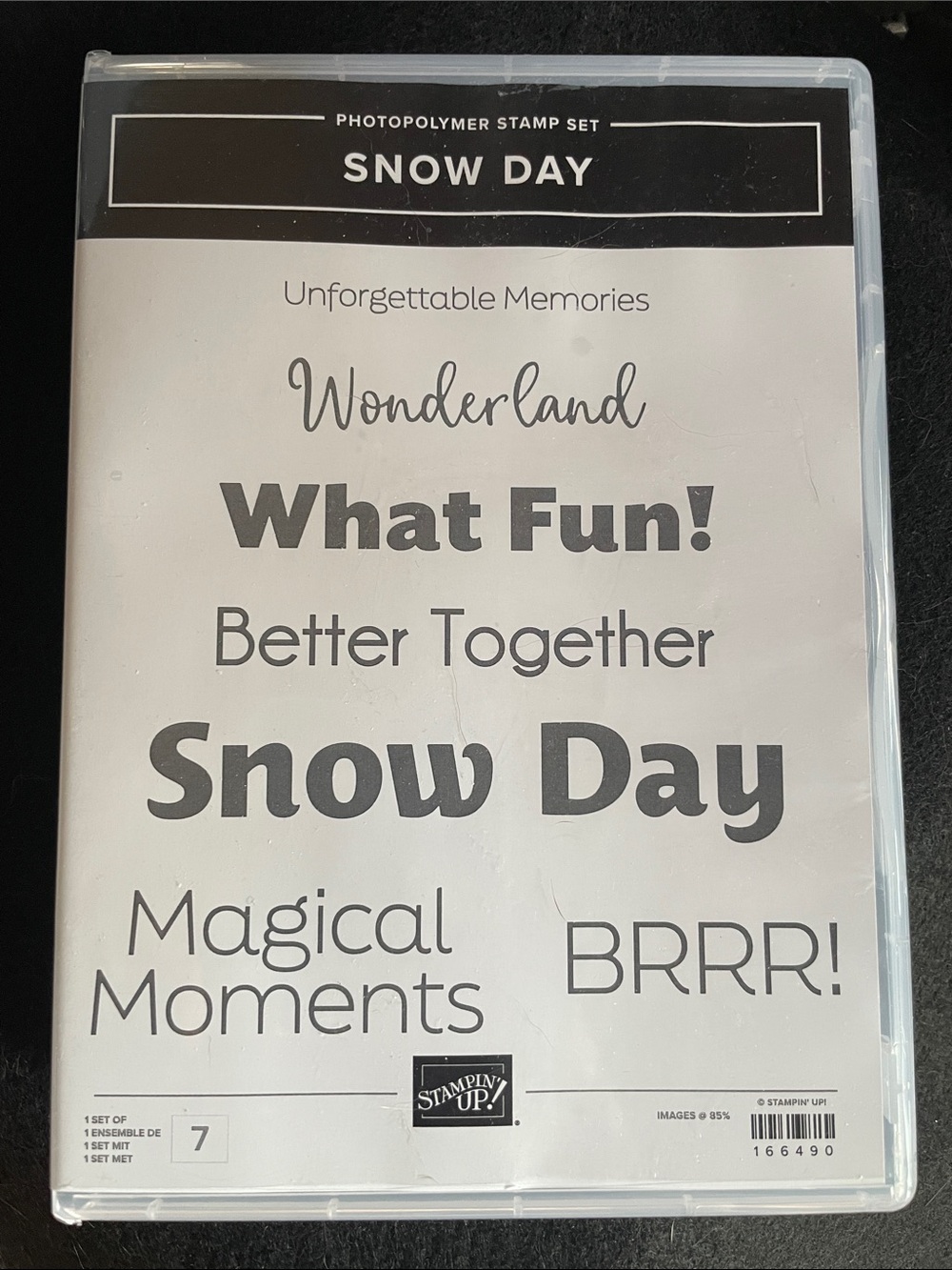 Stampin' Up! Snow Day Stamp Set - White and Black